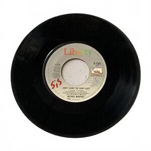 Michael Murphey - Don't Count The Rainy Days / The Heart Never Lies Vinyl 7"